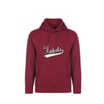 MENS HOODIES RED